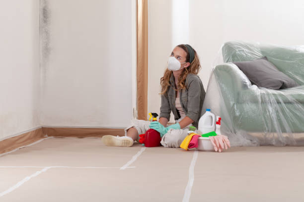 Reliable Mold Cleanup contractor in South Hackensack, NJ by WQB Mold Removal